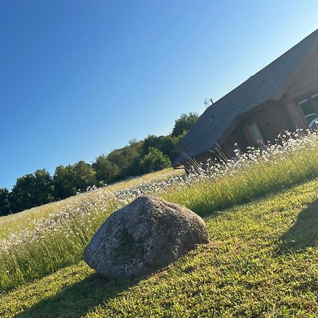 Cuddfan Lodge On A Gorgeous Private Lake Newport  Exterior photo